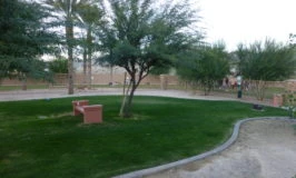 Dog Parks in Sun City Shadow Hills